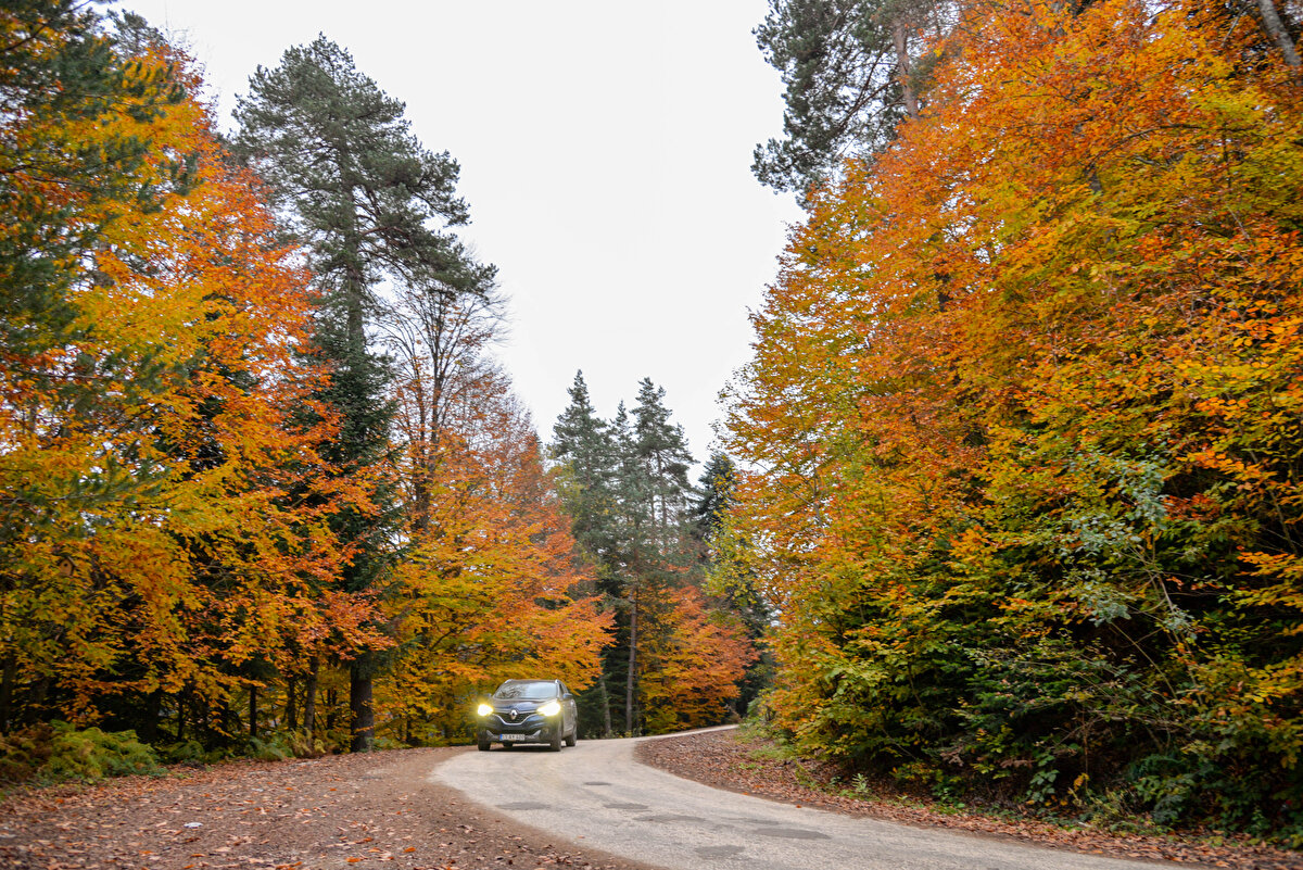 İlçeye gelen doğaseverlerin karavanları ve kamp çadırlarıyla göletlerin etrafında huzurlu vakit geçirdiklerini belirten Tekin, "Göletlerimizin çevresinde düzenlemeler yapmamızın ardından bölgemiz adeta bir cazibe merkezi haline geldi. Tüm vatandaşlarımızı sakinliği ve temiz havasıyla eşsiz bir ortam sunan ilçemize bekliyoruz" diye konuştu.<br><br>