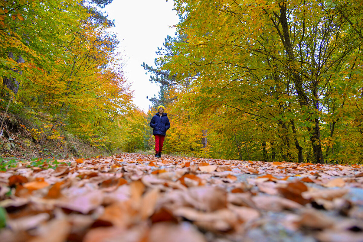 Şehrin stres ve gürültüsünden uzak, doğayla iç içe vakit geçirmek isteyenlerin ilk tercihi ilçedeki Bozcaarmut Göleti oluyor.<br><br>