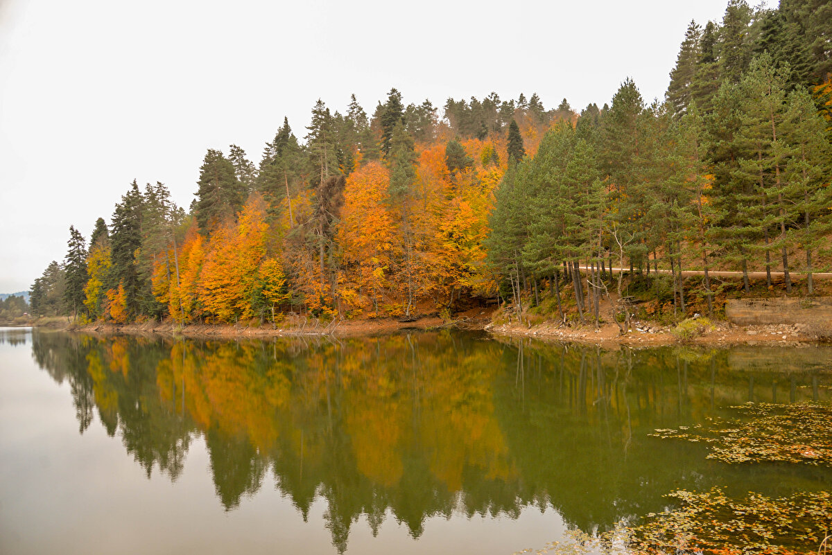 Fotoğraf tutkunlarının vazgeçilmez adreslerinden Bozcaarmut Göleti, çam ağaçlarıyla ziyaretçilerin vazgeçemedikleri doğa harikası olarak ön plana çıkıyor.<br><br>
