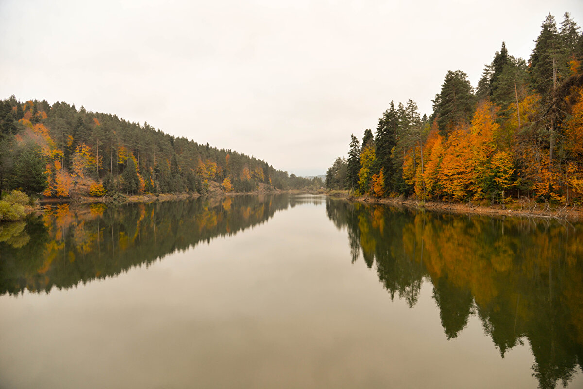 Pazaryeri Belediye Başkanı Zekiye Tekin, ilçenin turistlerden yoğun ilgi gördüğünü söyledi.<br><br>