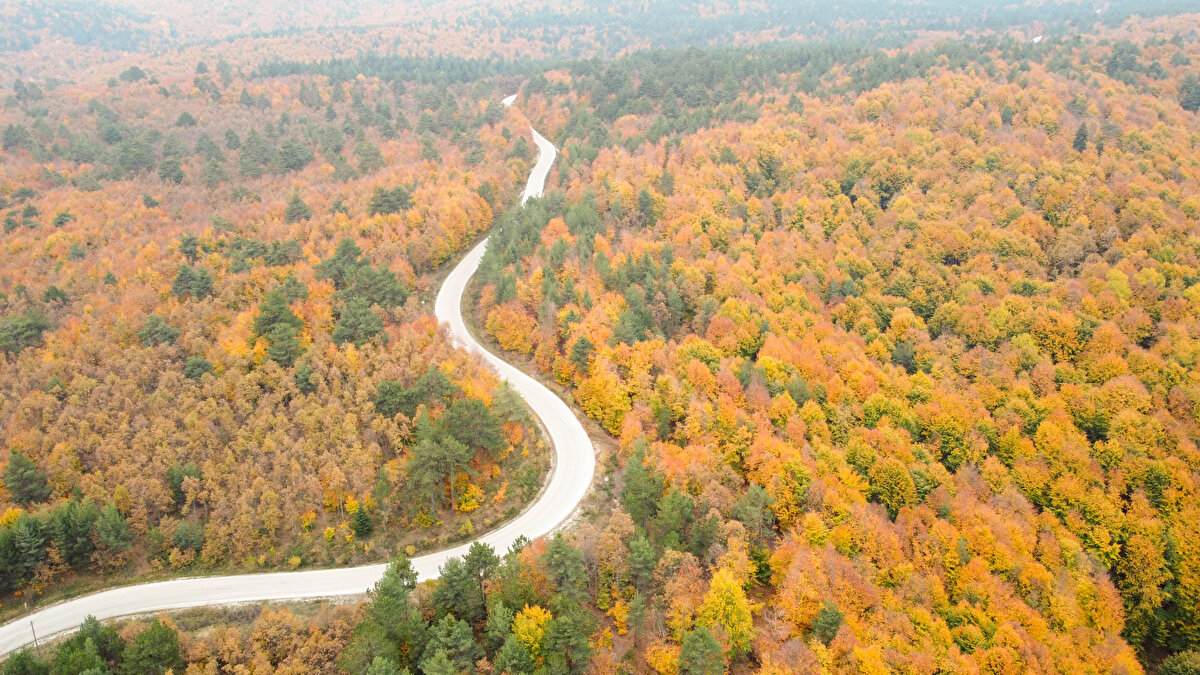 Sonbaharın gelişiyle Pazaryeri sarı, kırmızı, turuncu ve yeşilin farklı tonlarına büründü.<br><br>