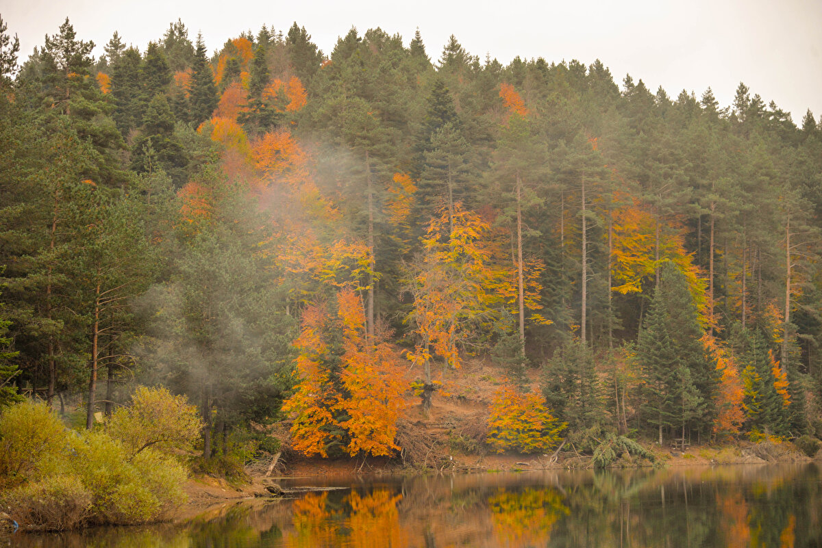 İlçedeki göletlerin doğa tutkunlarının tercihleri arasında yer aldığını belirten Tekin, "Yurt içinden ve dışından turistler, yılın her dönemi ilçemizi ziyaret ediyor. Özellikle sonbahar mevsimiyle doğanın sunduğu eşsiz güzelliklere ilgi çok fazla" dedi.<br><br>