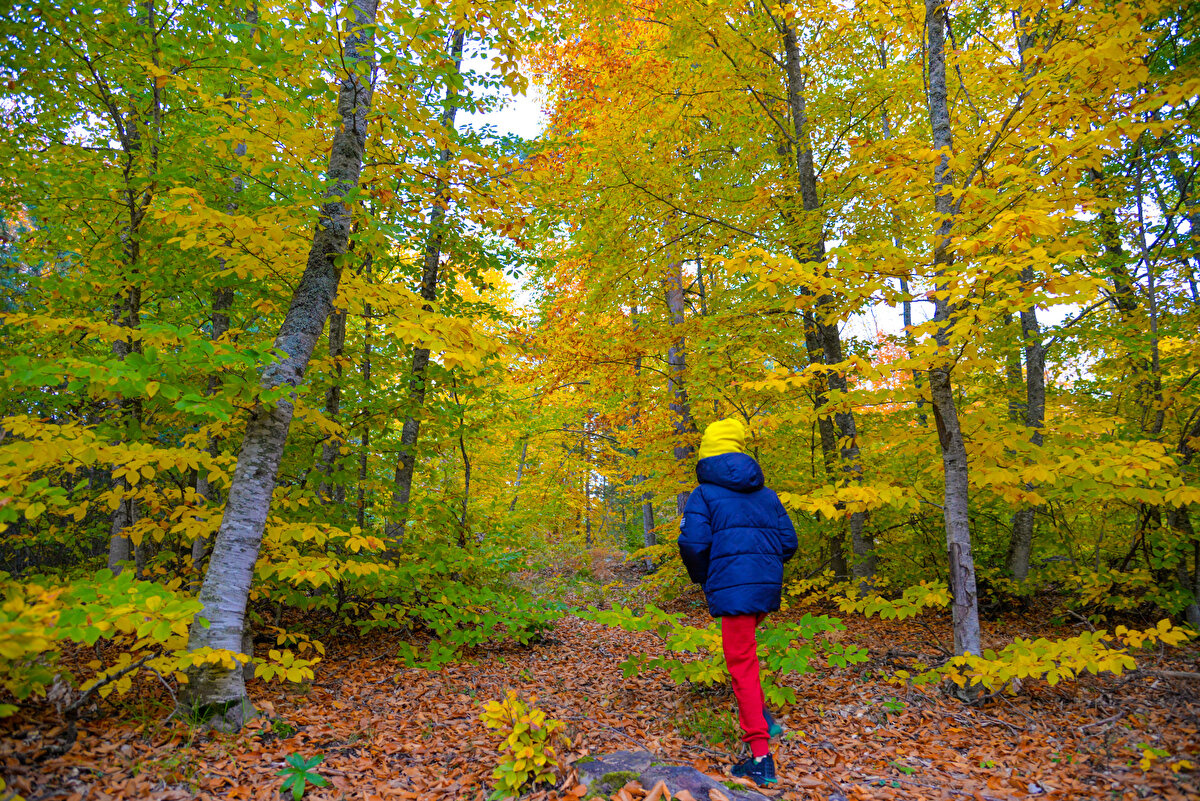 Sonbahar mevsiminin tüm renklerini bir arada barındıran göleti ziyaret edenler, huzur dolu anlar yaşama fırsatı yakalıyor.<br><br>
