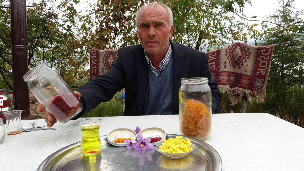 Gök, "Safran hasadımız başladı. Elimizdeki safranlar çıktı şimdi hasadını yapıyoruz. Bir soğan getirdim ve ikinci sene 10 tane oldu şimdi 3 dönüm arazide ekiyorum. 3 dönümden 800 grama kadar hasat yapıyoruz. Gramı 50 TL’den gidiyor.<br><br>