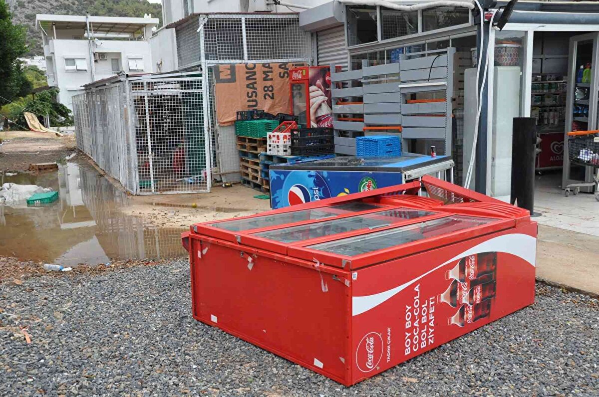 Rüzgar sebebiyle Yenişehir ilçesinde 2 aracın üzerine ağaç devrildi.