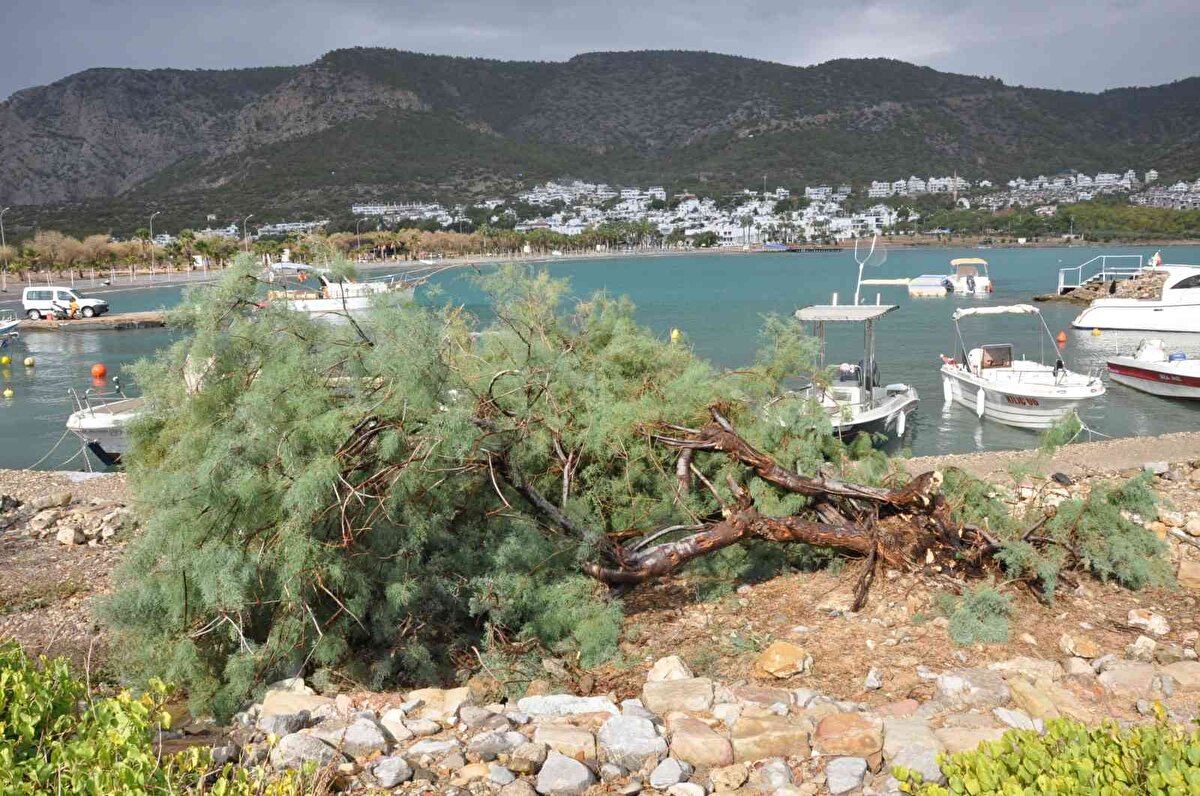 Hortum nedeniyle bazı evlerin ve restoranın çatısı zarar gördü.<br><br>