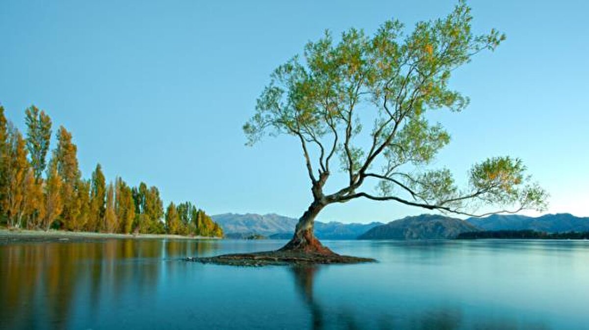 6. sırada Wanaka yer alıyor. Wanaka Yeni Zelanda'nın Güney Adası'nın Otago bölgesinde popüler bir kayak ve yazlık tatil beldesidir.<br><br>Instagram oyu: 565,973<br><br>Pinterest oyu: 741