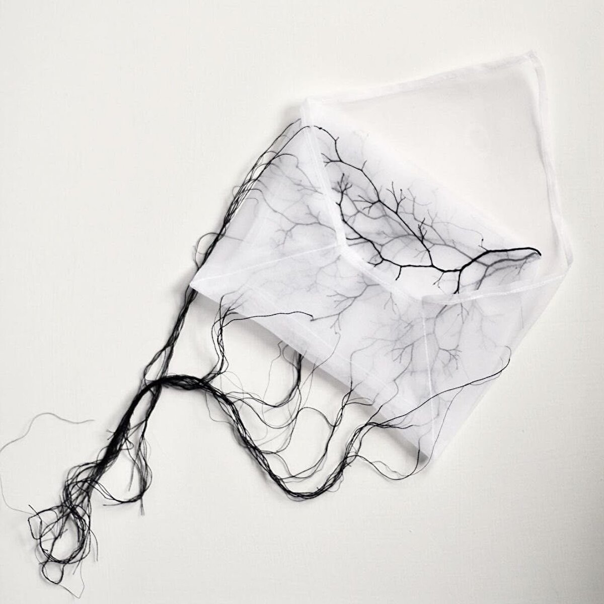 Elyaf sanatçısı Rima hem doğduğu şehir olan Tokyo’da hem de New York'ta moda tasarımı okudu. Moda alanında bir kariyer sürdürürken, neşesinin ve tutkusunun diğer el sanatlarına doğru kaydığını fark etti. Dokumanın ötesinde, düğümleme, sarma, örme, sarma, katlama, bağlama, birbirine geçirme ve hatta örgü yoluyla lif yapılar oluşturmaya başladı.