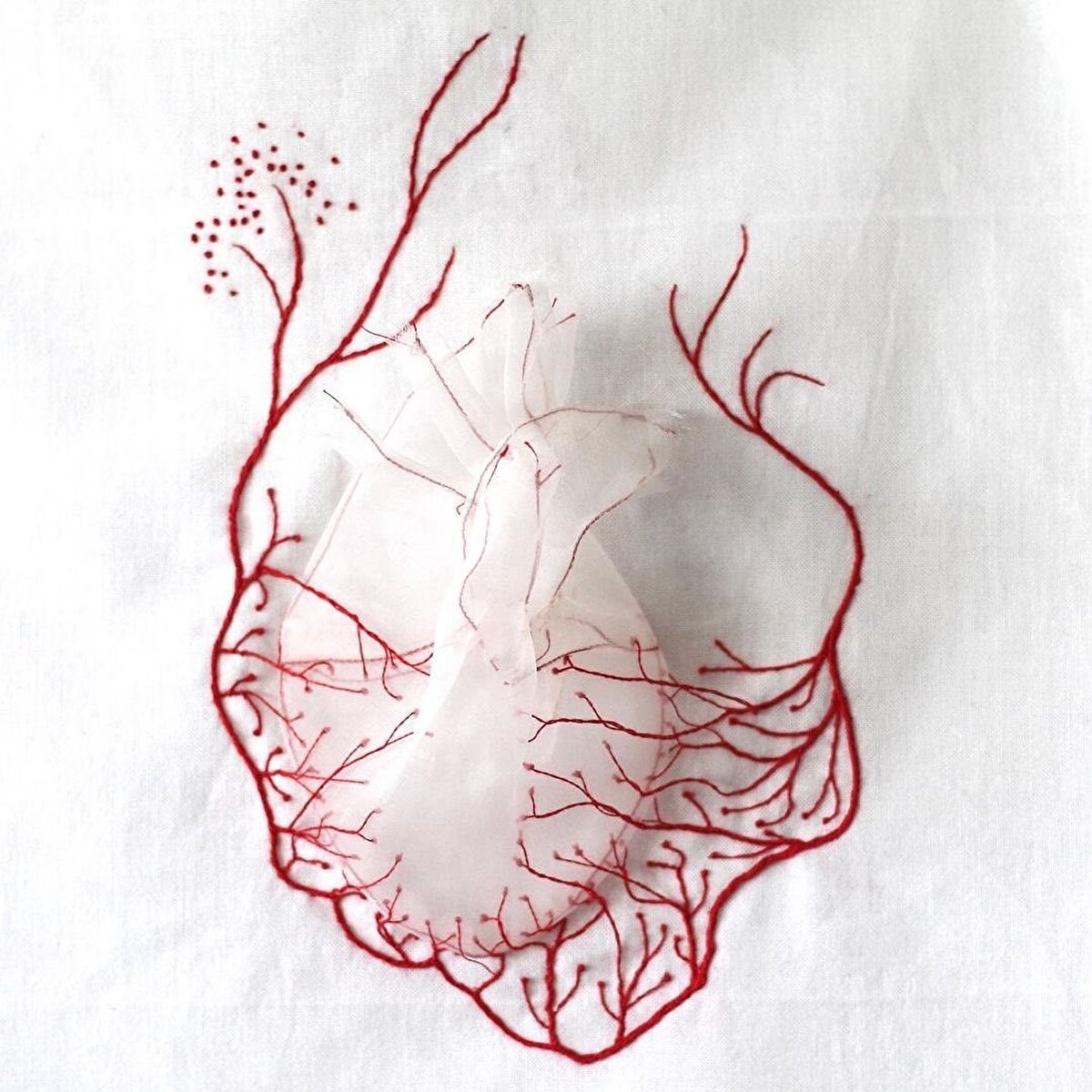 Gördüğümüz seninbariler de onun çalışmalarından yalnızca birkaçı.