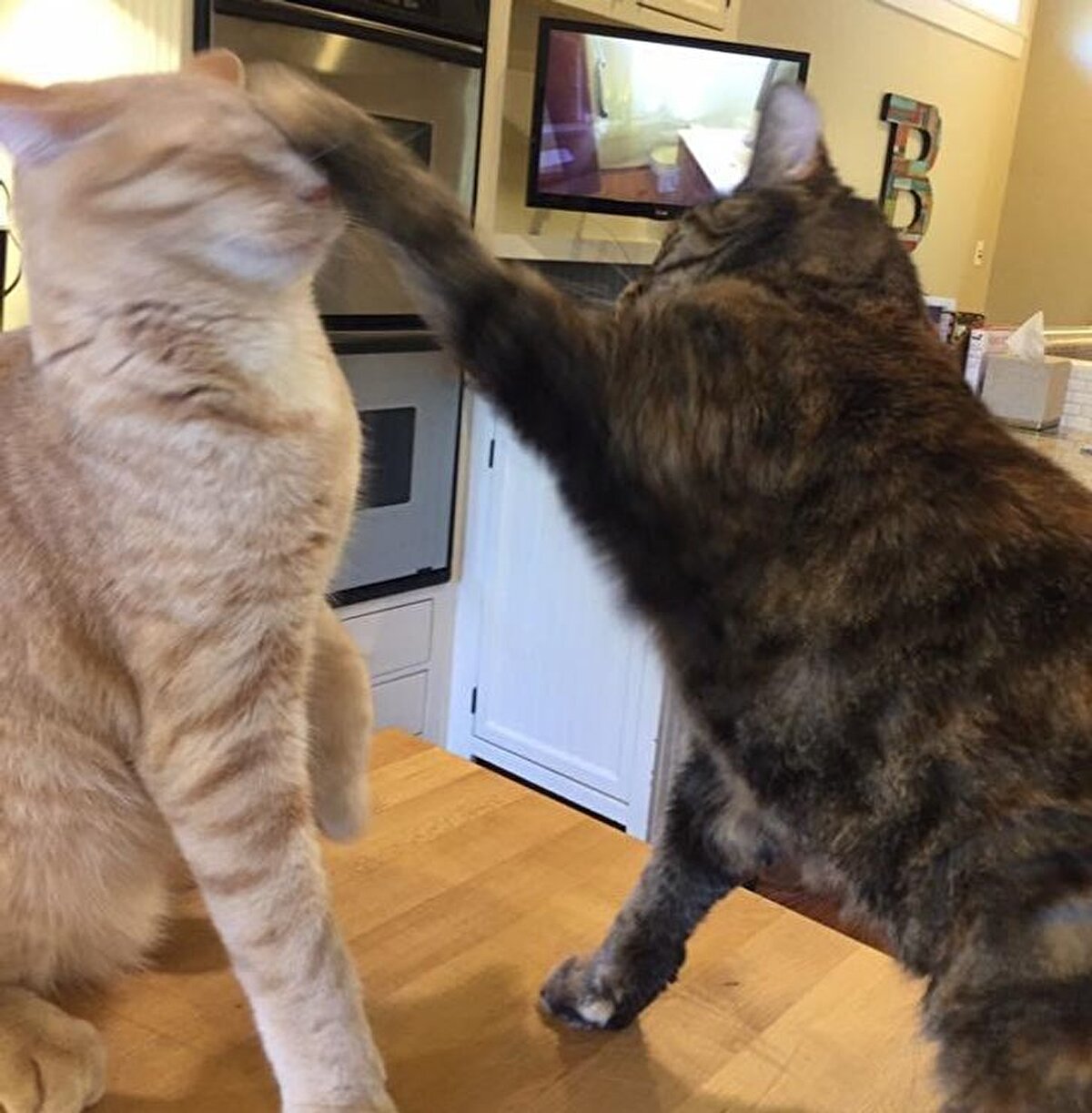 Unutulmaz bir tokat...