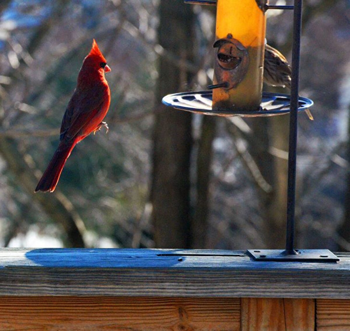 Havada durdum, şahitlerim var!
