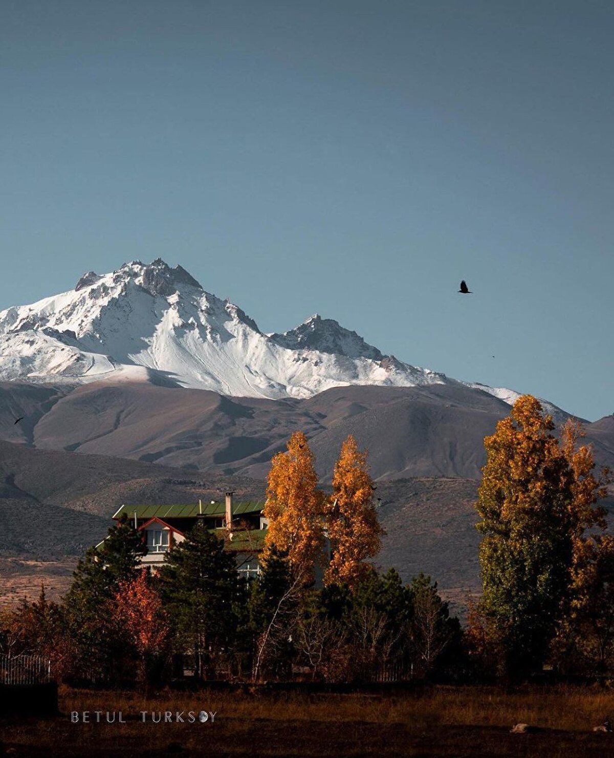 Harika fotoğraflar için @betul_turksoy’a teşekkürler.☀️