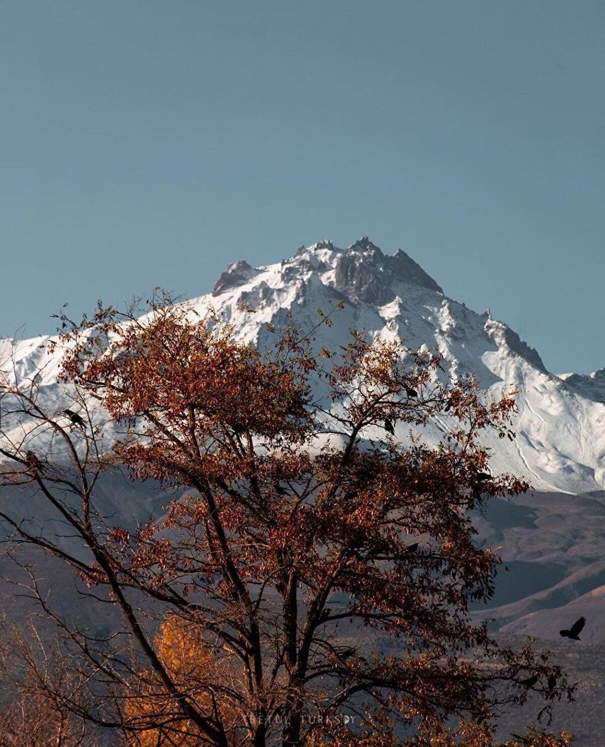 Minik bir bilgi:⠀<br>Ülkemizin eşsiz güzellikteki eserlerinin mimarı ve dünya mimarlık tarihinin ustalarından biri olan Mimar Sinan, Kayseri'nin Ağırnas Köyü'nde dünyaya gelmiştir. 1511'de, Yavuz Sultan Selim döneminde devşirme olarak İstanbul'a gelmiş ve Yeniçeri Ocağı'na alınmıştır.