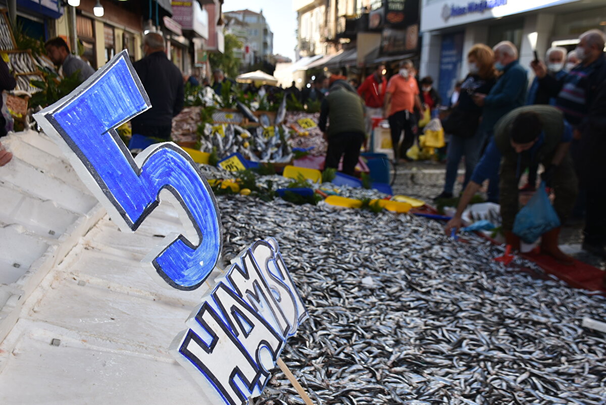 Edirne'de geçen haftalarda kilosu 40 liradan satılan hamsi, bugün kilosu 5 liraya düştü. Vatandaşlar, fiyatın ucuzlamasıyla kasalarla hamsi aldı.<br>