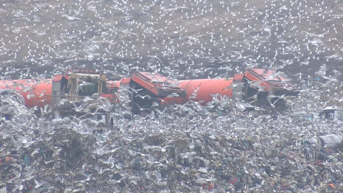 İstanbul'un Avrupa Yakası'ndan toplanan yaklaşık 10 bin ton evsel atık, katı atık aktarma TIR'larıyla İstanbul Büyükşehir Belediyesi'ne (İBB) bağlı İstanbul Enerji A.Ş.'nin Silivri Seymen'de bulunan Biyokütle Enerji Üretim Tesisi'ne götürülüyor.<br><br>
