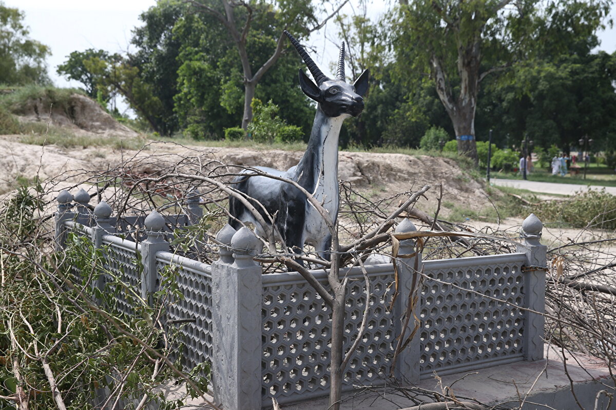 Bir av sırasında yakaladığı geyiği evcilleştiren Babür Sultanı Cihangir Şah, "Mansraj" adını verdiği çok sevdiği bu hayvan ölünce onun anısına bir anıt inşa ettirmeye karar veriyor.