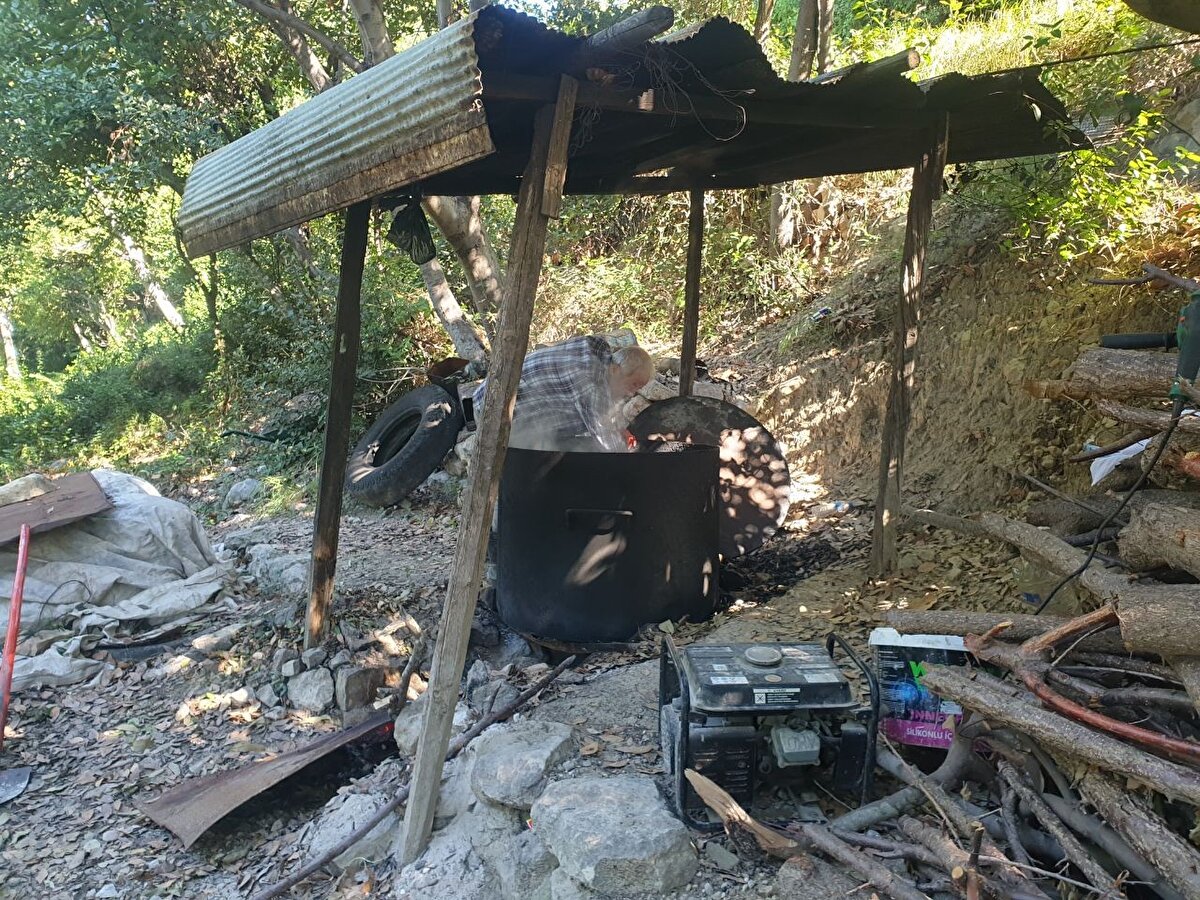 Samandağ Ziraat Odası Başkanı Selim Kamacı ise defne yaprağının çalısından ve tohumundan faydalanıldığını belirterek, "Defnenin yağı tıbbi aromatik bitki olarak kullanılmakta ve defne yağı ile zeytinyağının birleşimiyle defne sabunu üretilmektedir.