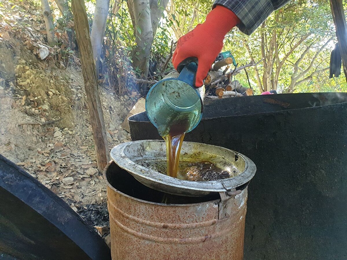 Defne, Samandağ ve Yayladağı ilçelerinde dağlık arazilerde yetişen defne ağaçlarının meyveleri çırpma veya elle toplanarak kazanlarda kaynatılıyor. Sabun yapımının yanı sıra, kozmetik ürünlerin üretiminde de kullanılan defne yağı, binbir emek verilerek elde ediliyor.<br><br><br>