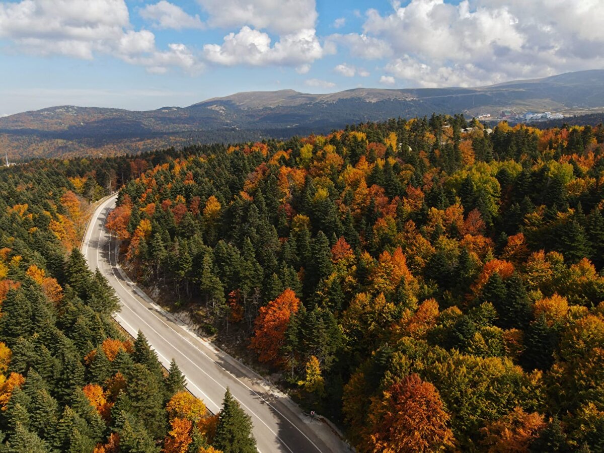 Uludağ’da gelişi güzel düzenlenen yürüyüş rotaları, kamp ve piknik alanlarının olduğu bölgelerde tahribatın fazla olduğu, insanların giremediği noktalarda ise ağaçlarda küçük oranda da olsa artışların olduğu tespit edildi.<br><br>