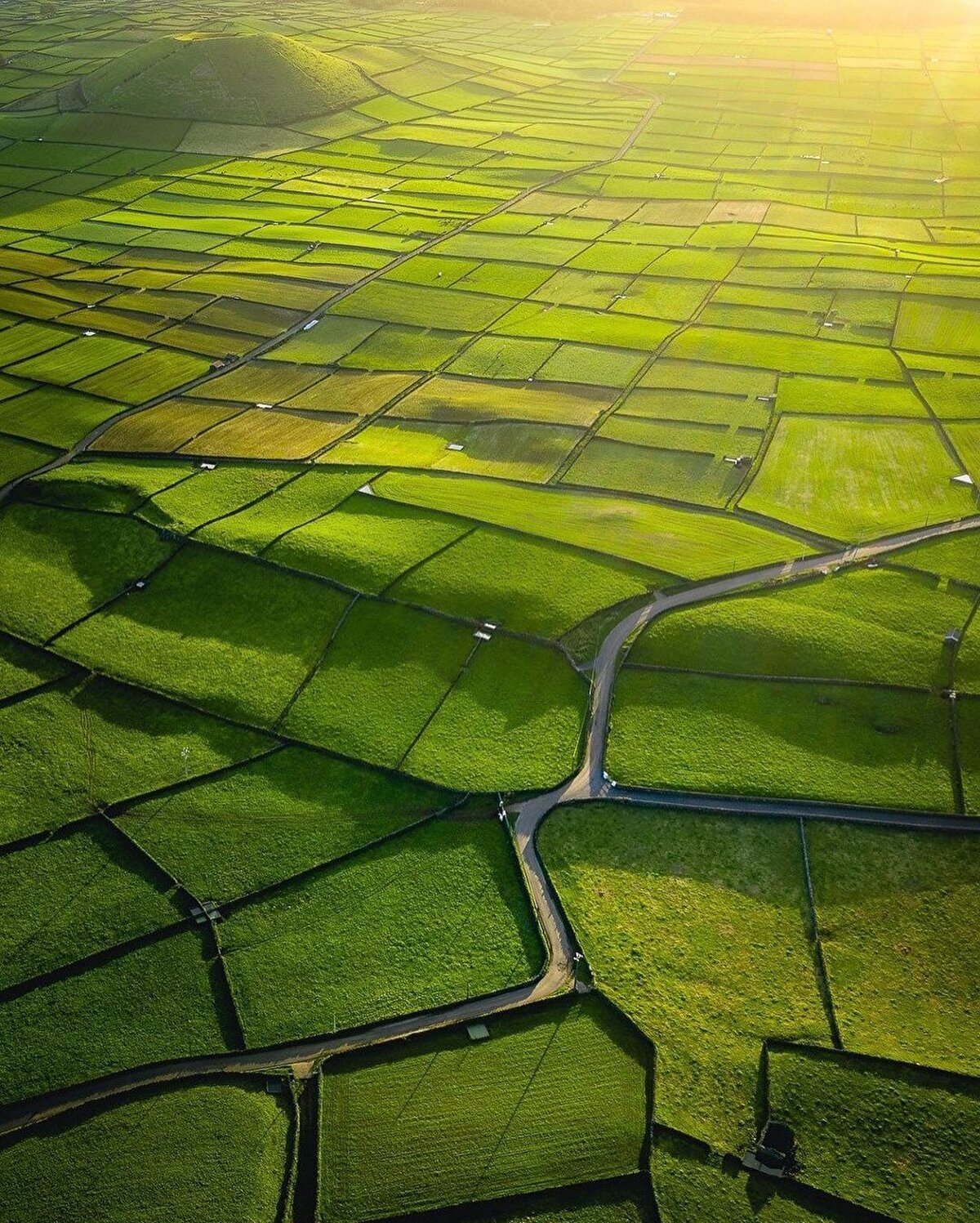 We thank @johan_drone_adventures for this amazing photos! 🌿<br>⠀