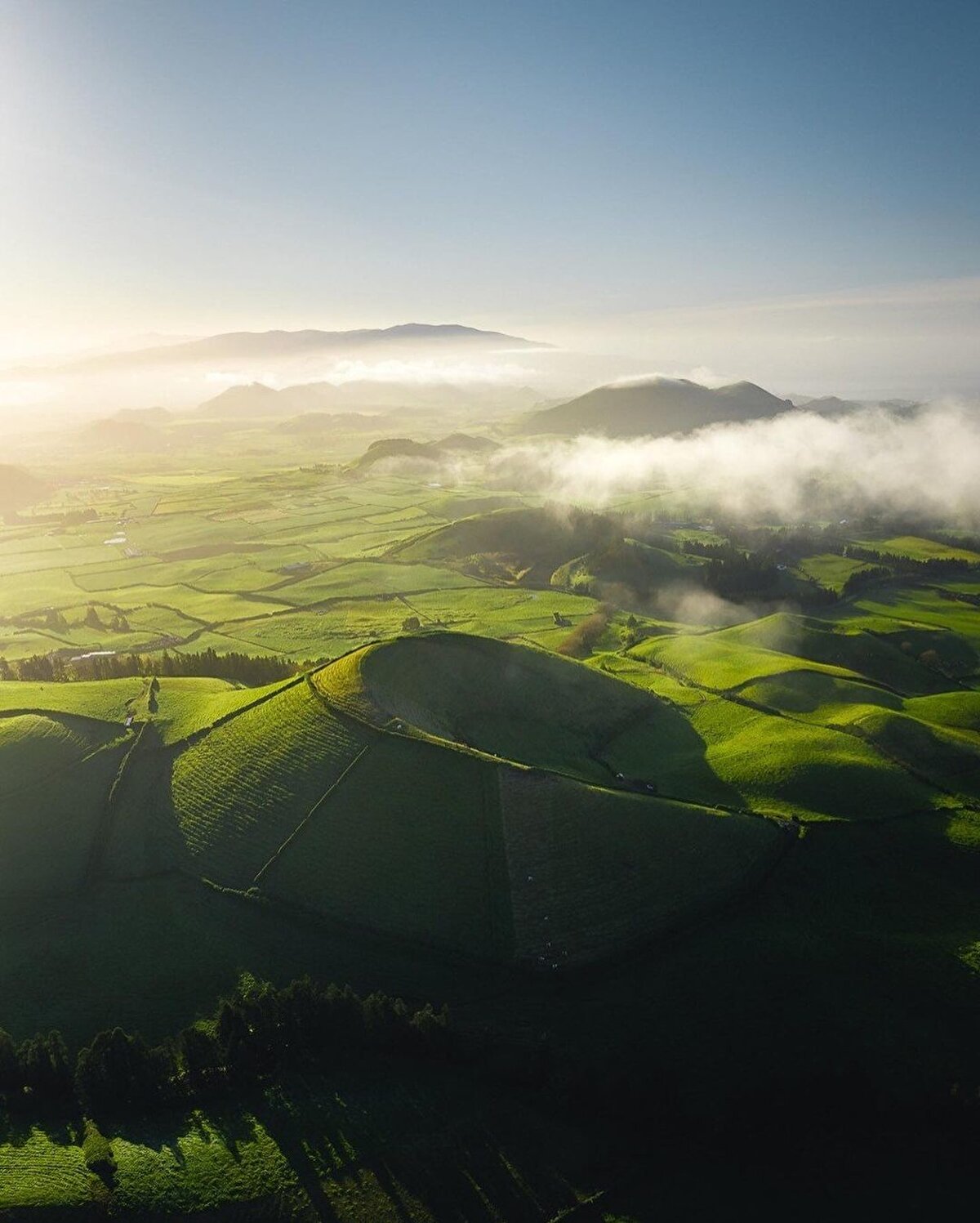 📌Engebeli ve volkanik asıllı adaların iklimi yumuşak ve nemli, başlıca geçim kaynakları ise tarım ve hayvancılık. Bu nefes kesici güzelliğe ulaştıktan sonra yapabileceğiniz aktivitelere geldiğimizde de birden çok heyecanlandıran seçenek var. Burada balinaları izleyebilir, dalış yapabilir, doğa yürüyüşleriyle dinginleşebilir ya da su sporlarını deneyimleyebilirsiniz. ⠀