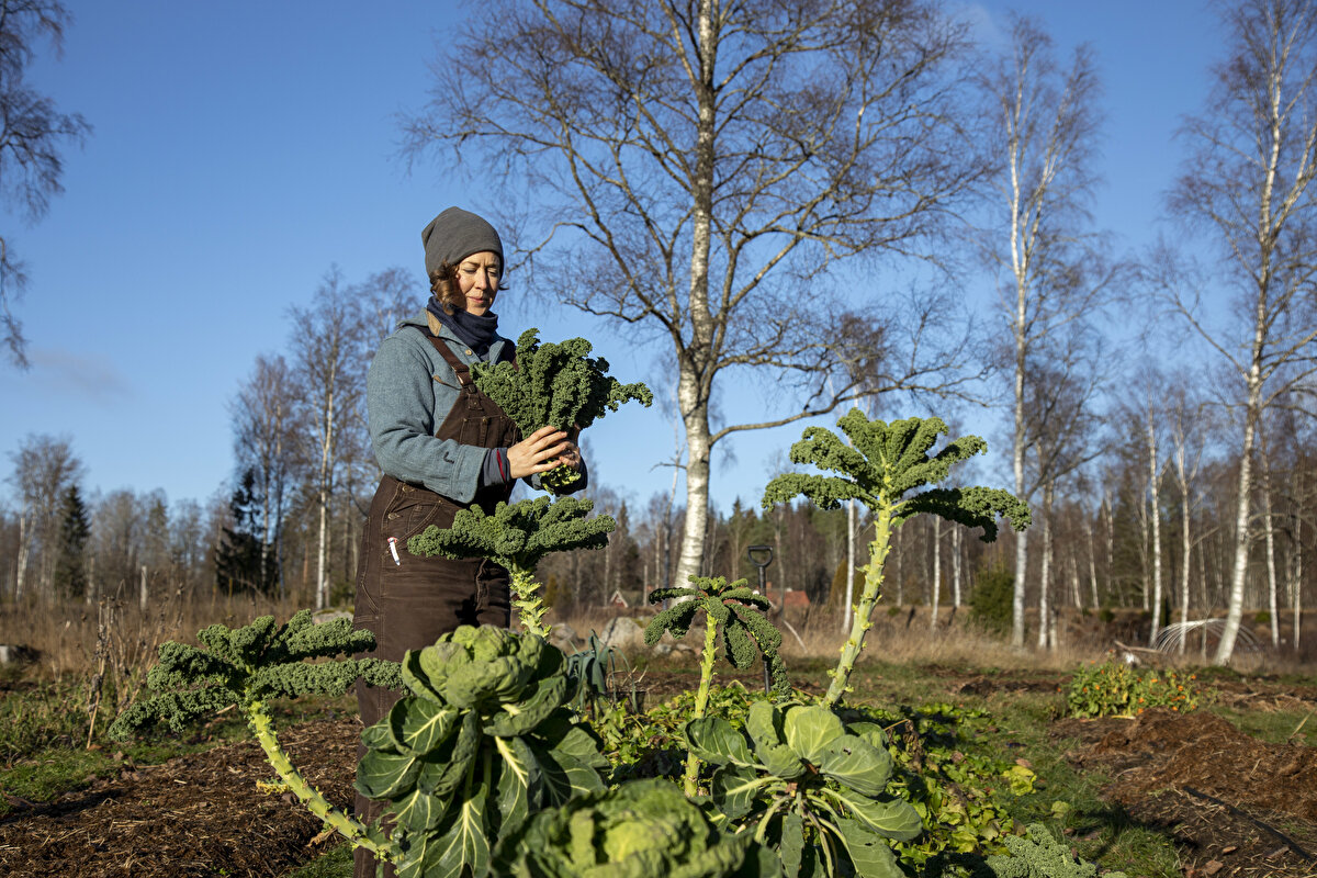 Şehirleşme oranında yaşanan artışla 2030’da dünya nüfusunun yüzde 60’ının, yani 5 milyar insanın şehirlerde yaşayacağı öngörülüyor.<br>