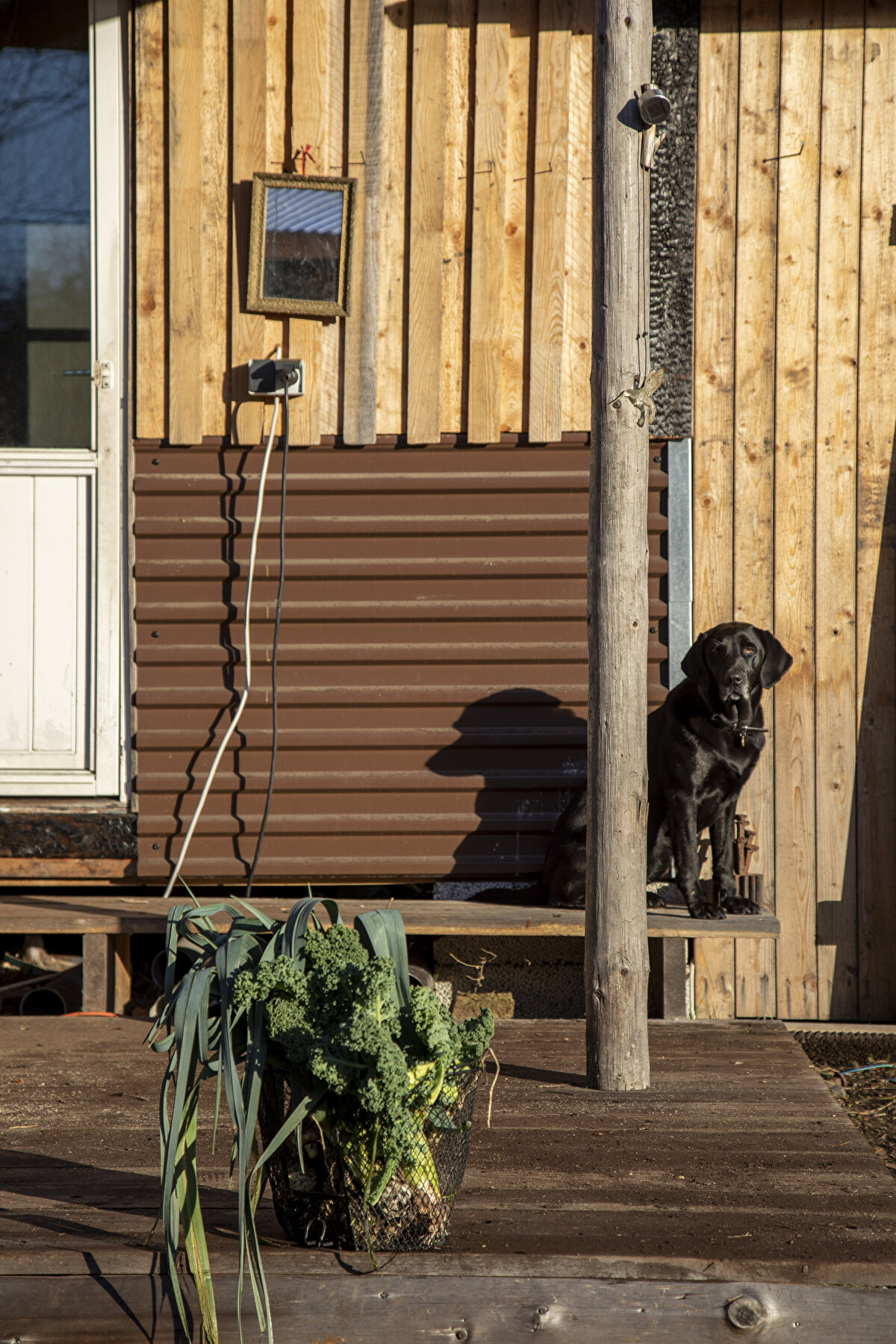 Uzmanlar, pandeminin tetiklediği doğayla iç içe yaşam arzusunun, bu eğilimi tersine çevirebileceğine dikkat çekiyor.<br>