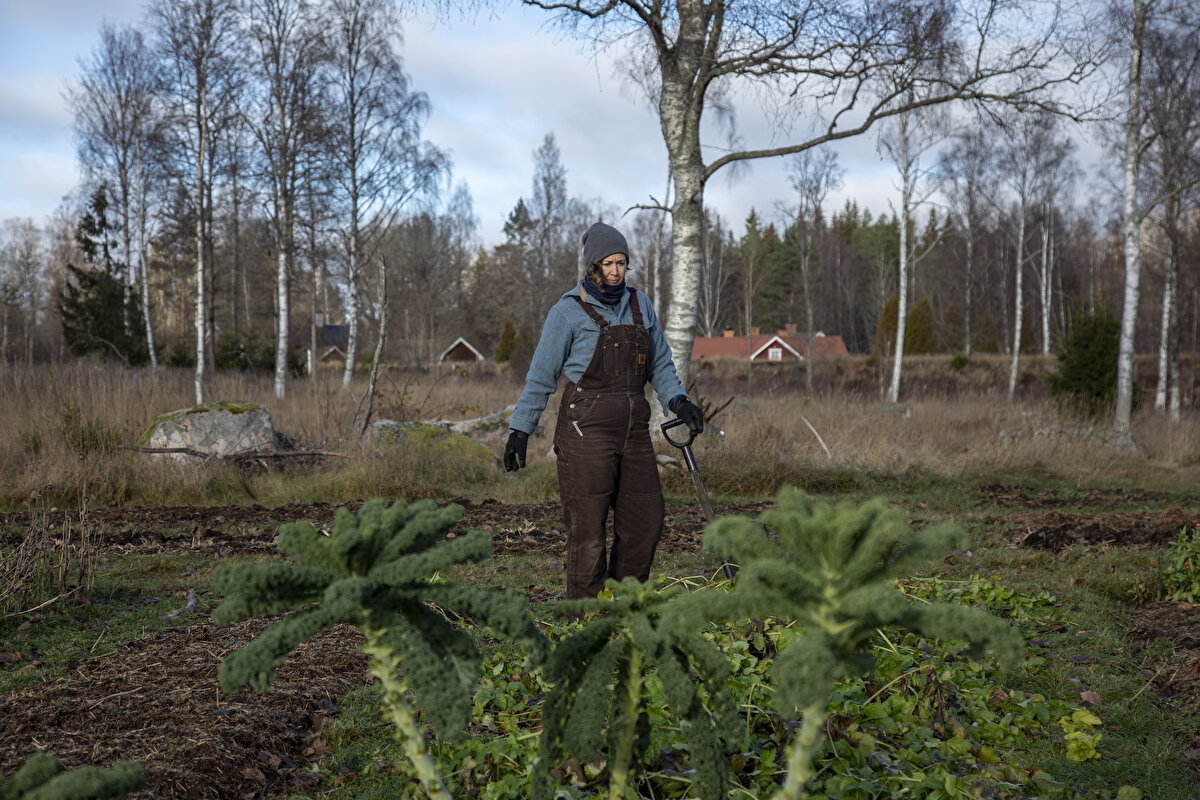 Özellikle Kuzey Ülkelerinde tercih edilen antika kabin evler, sosyal medya üzerinden paylaşılan fotoğraflarda gördüğümüz ‘muhteşem küçük evleri’ gerçek hayata taşındığını gösteriyor.<br>