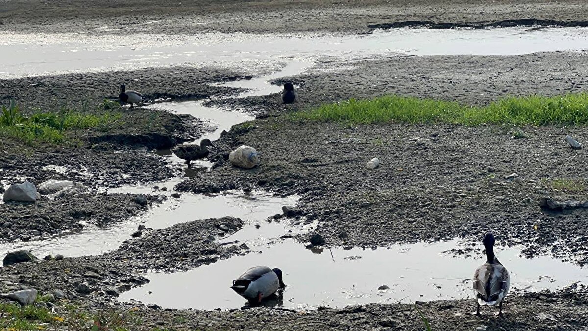 Marmara Bölgesi’nin en büyük, Türkiye’nin ise beşinci büyük doğal gölü olan İznik Gölü, 80 metre ile derinliği en fazla olan tektonik tatlı su gölü olma özelliğini taşıyor.