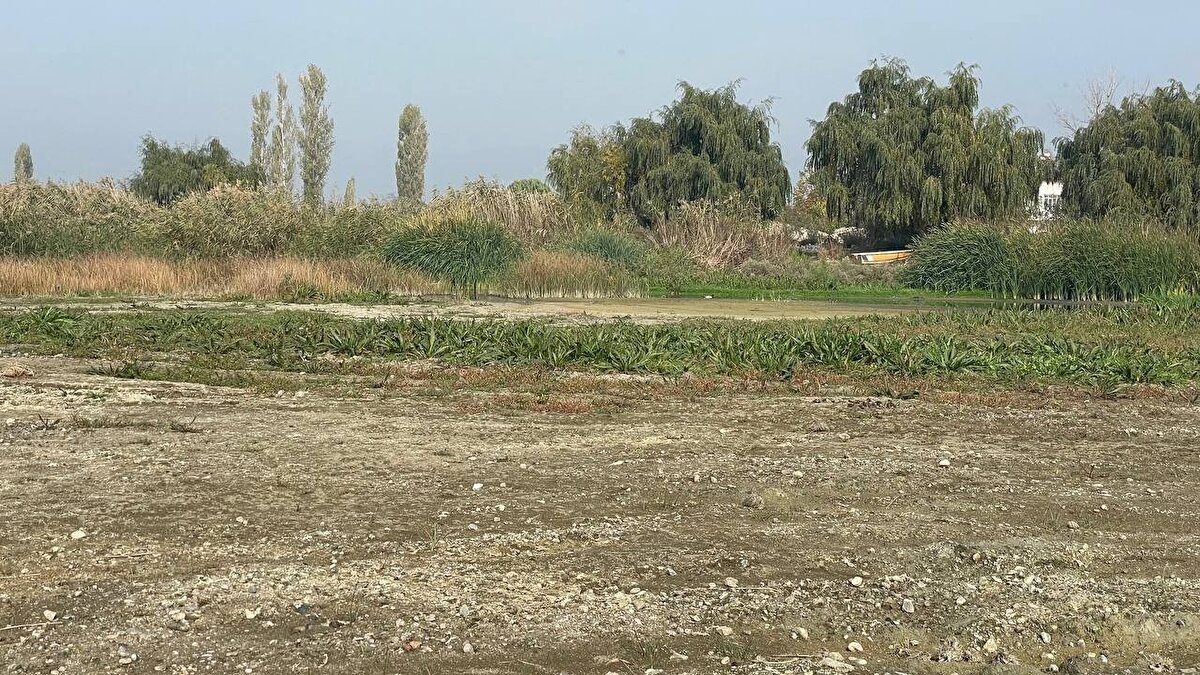 Kayıklar karaya otururken gölde yaşayan ördeklerin susuzlukla mücadelesi kameralara yansıdı. <br><br>