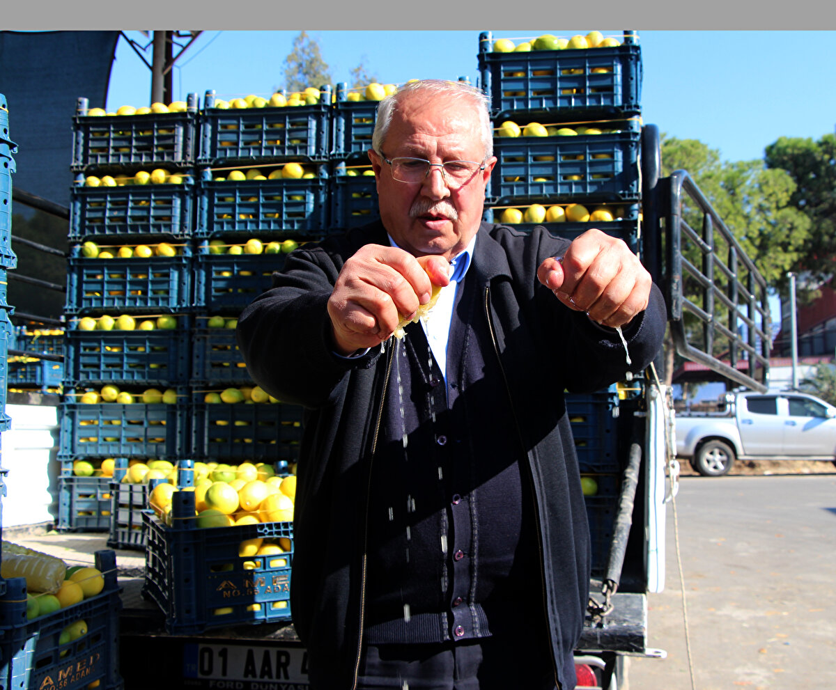 Yaklaşık 135 bin dekar alanda üretimi yapılan limon, düşen fiyatları nedeniyle de üreticisini üzdü.<br><br>