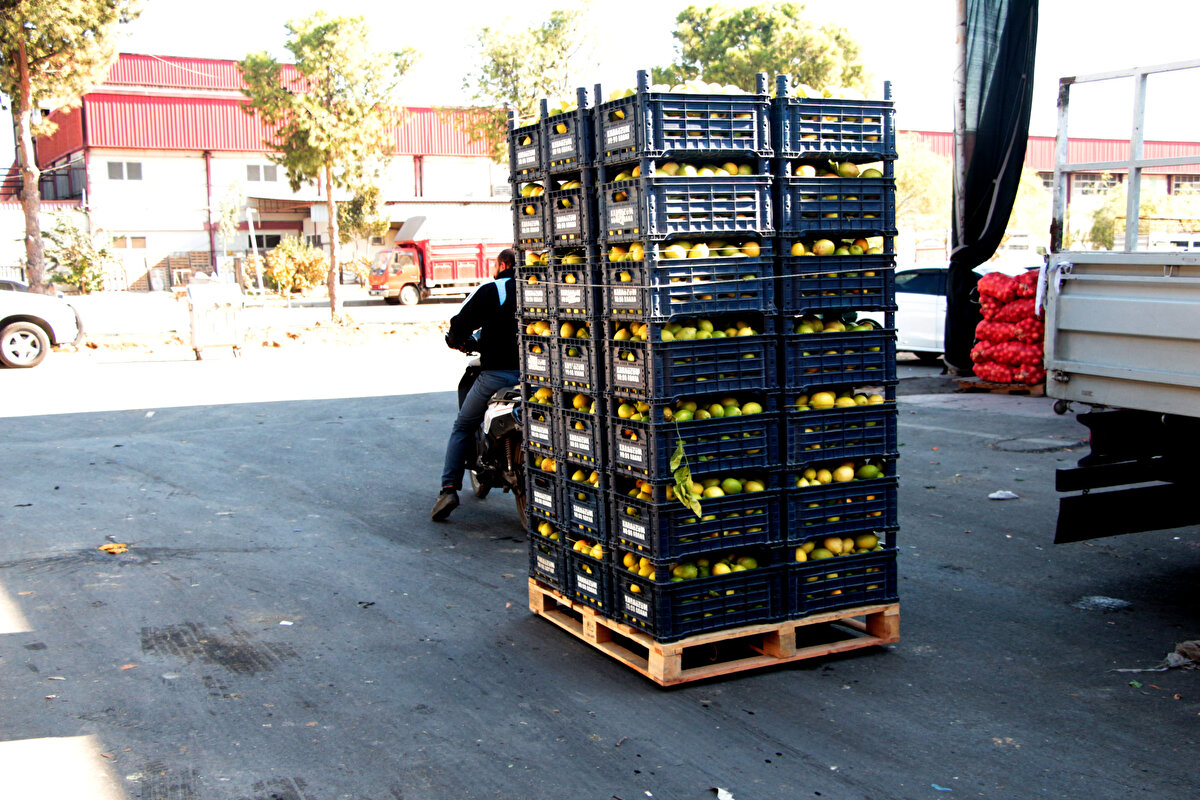 İç ve dış piyasada talep görmemesi nedeniyle üreticilerin çoğu limonlarını ağaçlardan toplamamaya başladı.<br><br>
