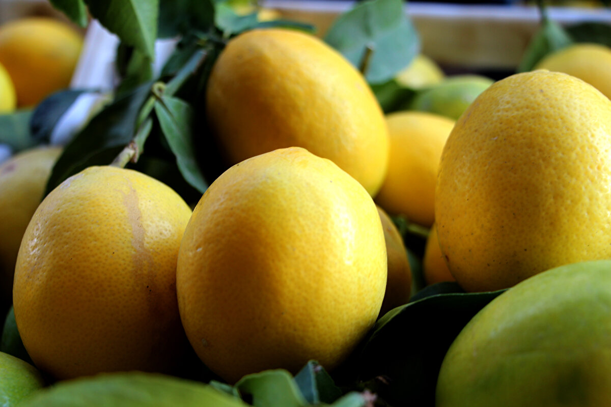 Birinci sınıf limonun 60 kuruşa satıldığını söyleyen Kabzımallar Başkanı Ali Batman, orta kalite limonların 50 kuruşa, düşük kaliteli limonların 25 kuruşa satıldığını belirtti.<br><br>