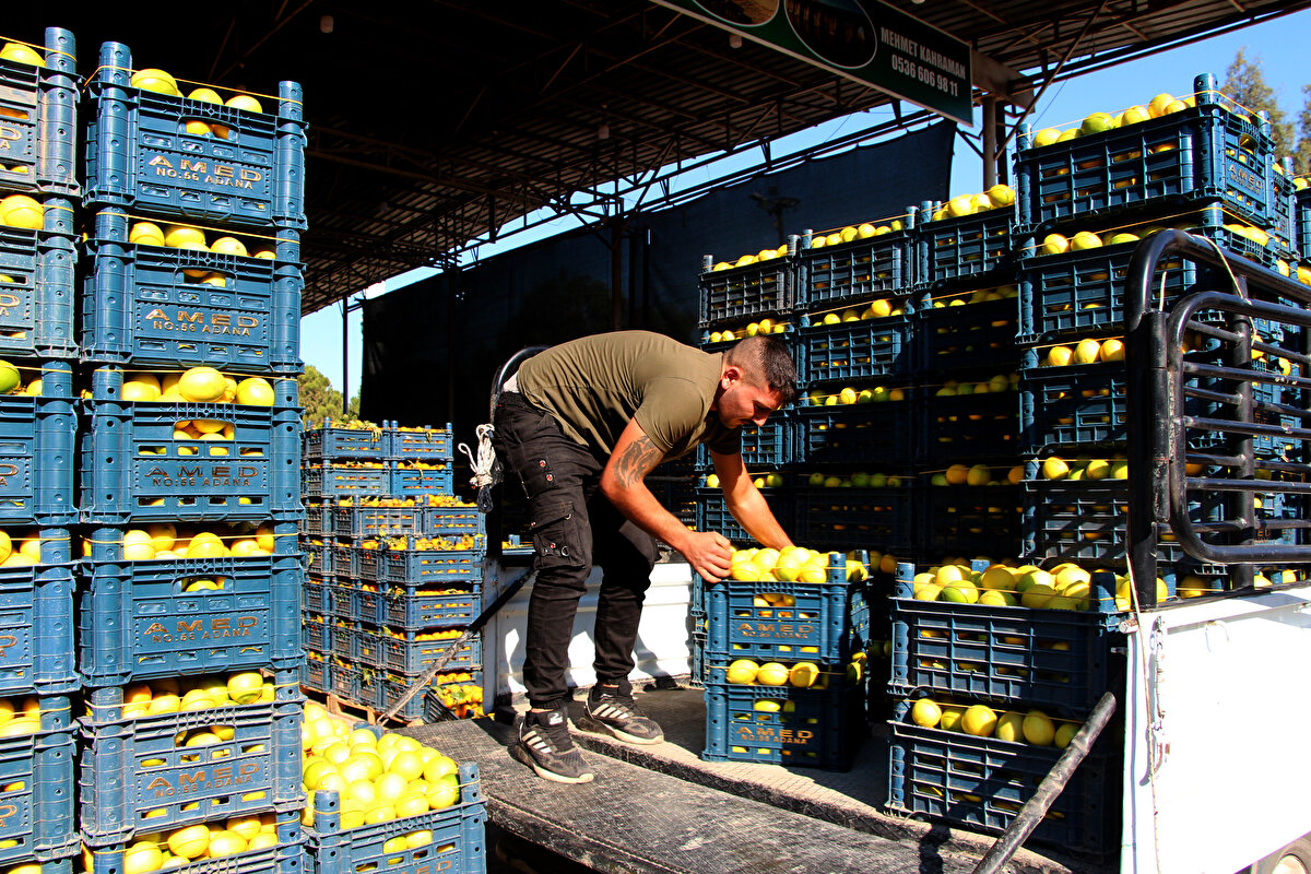 Batman, limonun halde 25 kuruşa alıcı bulamazken, İstanbul’da çok yüksek fiyatlara satılmasının morallerini bozduğunu söyleyerek, "Üreticilerin Allah yardımcısı olsun. Bir iki yıl sonra limonu dolarla almaya başlayacağız. Üreticiler limon ağaçlarını kesmeye başladı" dedi.<br><br>