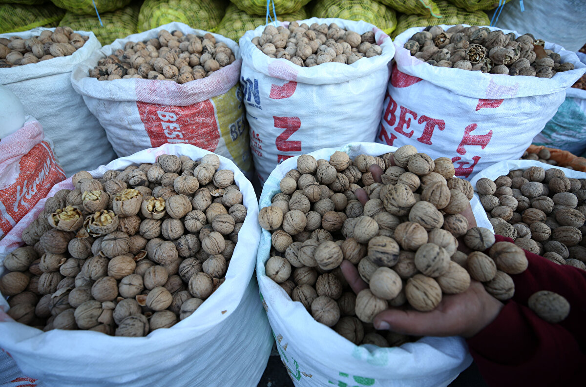 Son yıllarda bölgemizde fidan üretimi ve dışarıya fidan satışımız da önemli bir gelir kapısı oldu. Her yıl bu katma değerli ürünümüzün piyasasını büyüterek daha uzak ülkelere ve farklı yerlere açılmayı düşünüyoruz. Ceviz istihdamla da ilimize önemli bir girdi sağlayan üretim desenimizdir."<br>
