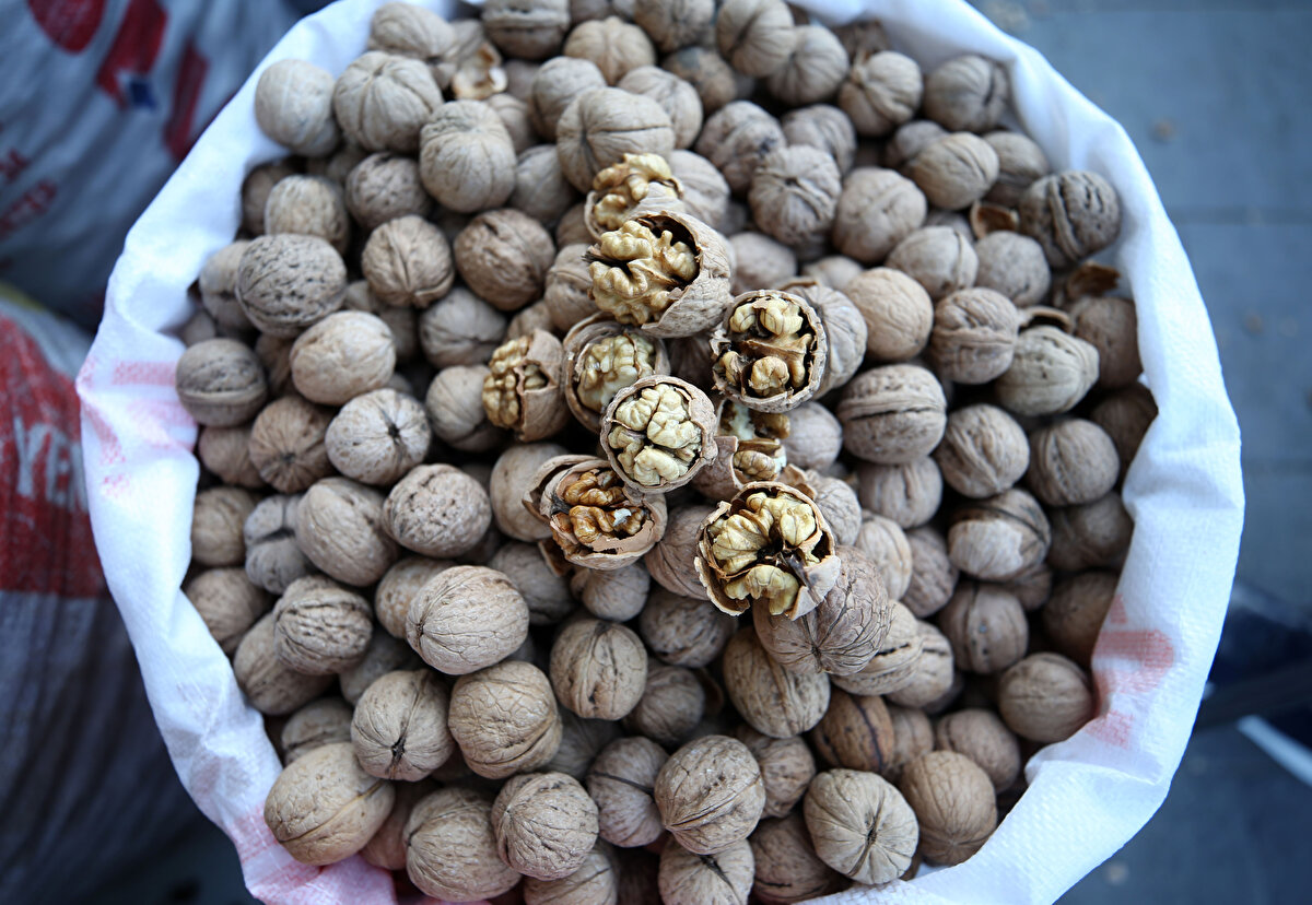 İlçede üretilen sertifikalı cevizin, dünya piyasasındaki diğer türlere göre üstün vasıflarının olduğunu aktaran Çelik, kabuklu ağırlığı 14-15 gram olan cevizin, iç ağırlığı, yağ oranı, tadı, kokusu ve aromasıyla öne çıktığını dile getirdi.<br>