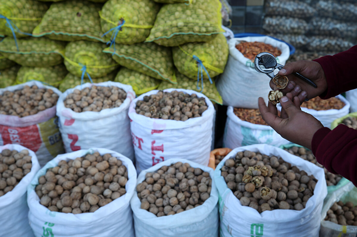 "Bitlis'te 45 bin dekarda kapama ceviz bahçeleri oluşturduk. Meyve veren ağaç sayımız 500 bin civarında. Bu yıl Bitlis'te yaklaşık 5 bin ton ceviz üretimimiz oldu. Bitlis'e gayrisafi hasıla anlamında yaklaşık 150 milyon lira katkı sağladı.<br>