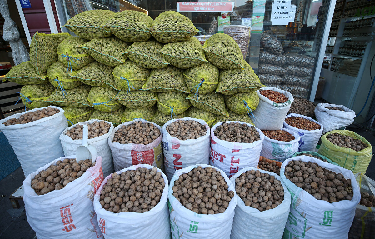 Bin tane (bin işi) olarak satışa sunulan ceviz, ilçenin önemli gelir kaynakları arasında yer alıyor. Geleneksel yöntemlerle toplanan cevizler, hasat döneminin ardından kabuklarından ayrıştırılarak kurumaya bırakılıyor.<br>