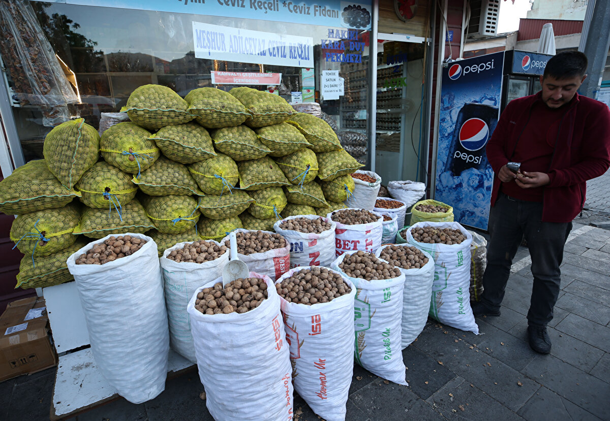 Yağ oranı, tadı, aromasının yanı sıra ince kabuğu ve iri taneleriyle diğer türlerden ayrılan Adilcevaz cevizi, tüm işlemlerin tamamlanmasının ardından yurt içine ve dışına gönderiliyor.<br>