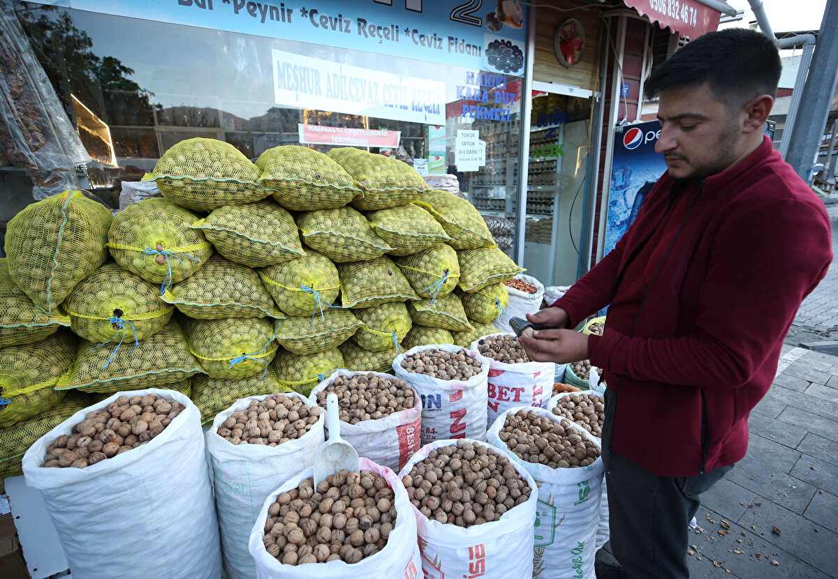 İlimizde 35 civarında ceviz çeşidi yetişiyor. Bunlardan üstün vasıflıları tespit etmiştik. Van Yüzüncü Yıl Üniversitesi ile 2008'de sertifikasyon konusunda proje geliştirdik. 10 yıllık emeğin sonunda vasıflı 'Kazankaya' ve 'Adilcevaz13' çeşitlerimizi tescilledik.<br>