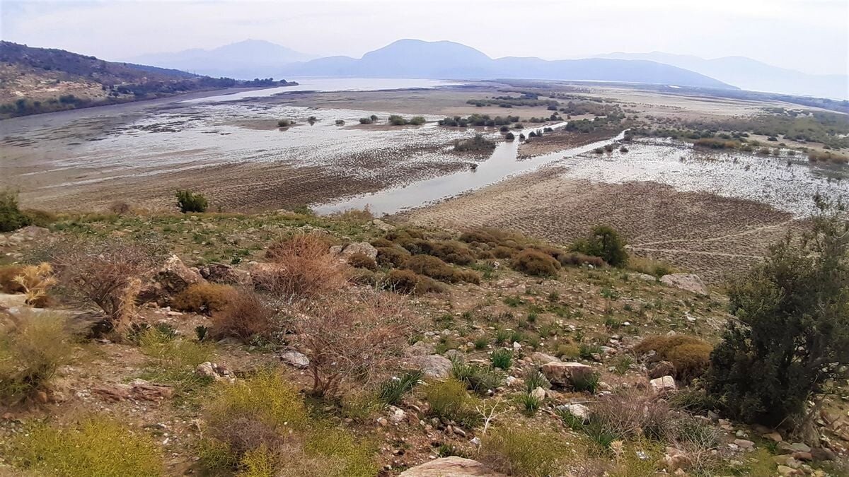Tüp kurtlarının göl ekosistemlerini fiziksel, kimyasal ve biyolojik olarak değiştirdiğini belirten Sürücü, “Kıyılarda bulanıklığı arttırır ve oyuk açma aktiviteleriyle bulundukları alt tabakayı değiştirir, aşırı çoğalınca suyun hareketini engelleyerek etraflarında tortu birikmesine neden olur. Göl turizmine, suyla temasta olan insanlara, canlılara tehlike oluştururlar. Balıkçıların teknelerine verdikleri yıpratıcı etkileri, balıkların temel besinleri olan planktonları tüketmeleri de ciddi sorunlara neden olur” dedi.<br><br>