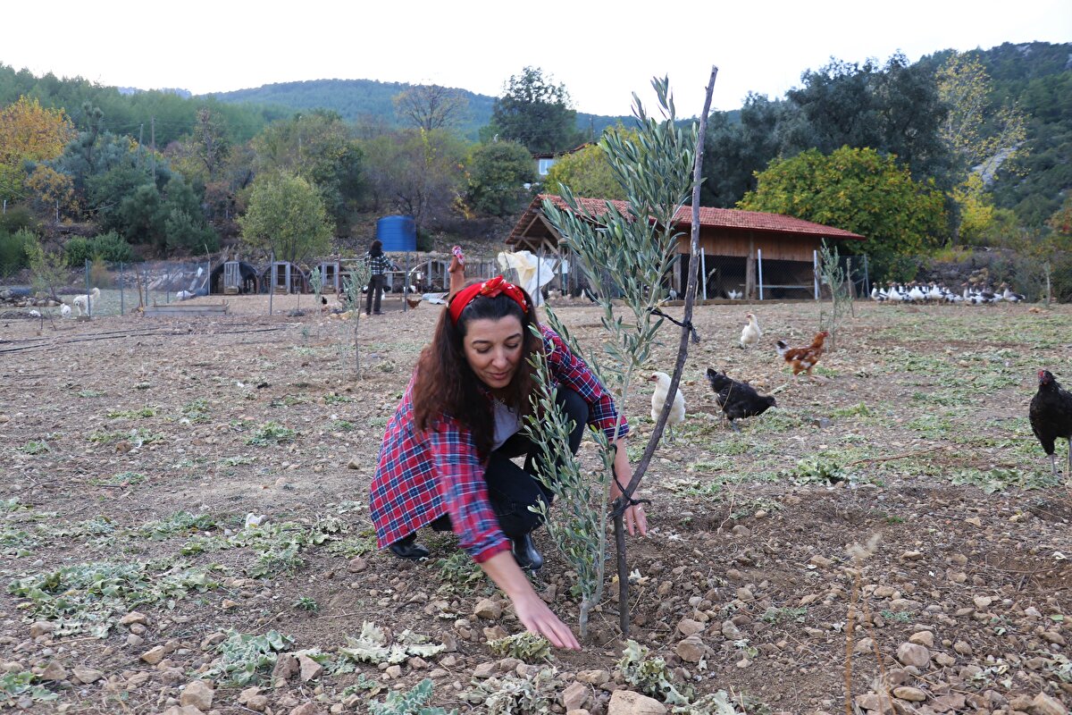 Girişimci olmaya 2012'de karar veren ve KOSGEB desteğiyle reklam ajansını kuran Arabacı, aynı zamanda iş dünyası için dergi çıkarmaya başladı. Dergisi için röportajlar yaptığı dönemde, kırsalda farklı tarım projeleri geliştiren girişimcilerin hikayelerinden etkilenen Arabacı, hayatında yeni bir sayfa açmaya karar verdi.<br>
