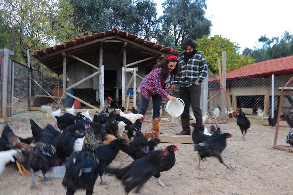 Halkla ilişkiler ve reklamcılık bölümünden mezun olduktan sonra bir süre çeşitli alanlarda deneyim kazanan Arabacı, kurumsal iletişim ve reklam ajansı sektöründe idari işler yöneticisi olarak çalıştı.<br>