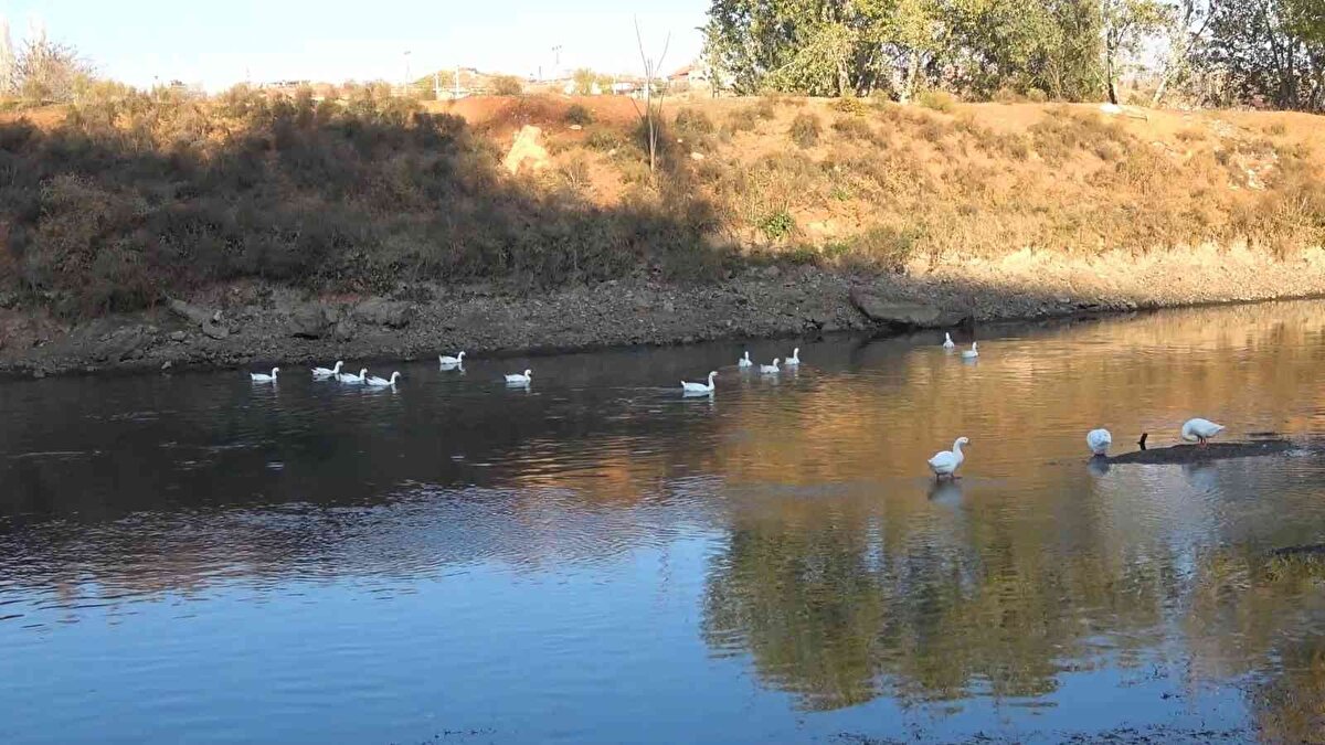 Daha görkemli olmalı bu ırmak, her yönüyle gürül gürül akmalı ve gürül gürül verimli hale getirilmeli diye düşünüyorum" ifadesini kullandı.<br><br>