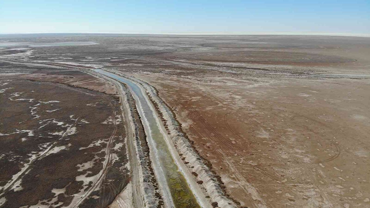 Ölçüm ve incelemelerde elde edilen hareketlilik sonuçlarıyla birlikte Hasan Dağı'ndaki gelişmelerin takip edilmesi kanısına vardıklarını belirten Cezmi Türkmen, "Dolayısıyla biz Hasan Dağı'nın volkanik aktivitesinin incelenmesi ve takip edilmesi gerektiğine karar verdik. Aksaray Üniversitesi bilim adamlarımız da takip edelim dediler. Böyle bir görüş birliği oldu aramızda. Bunu da projelendirdik. Oradaki çalışmamız şu: Özellikle Hasan Dağı'nda sensörler kuracağız, GPS'ler kuracağız ve ölçüm aletleri kuracağız. Fiziksel ölçüm aletleri kuracağız. Kabuk hareketlerini ve kabarmalarını takip edeceğiz" ifadelerini kullandı.<br><br>
