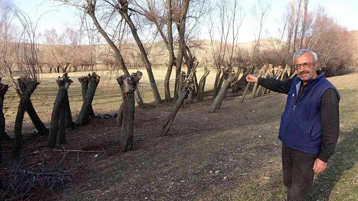 Köy sakinlerinden Ayhan Topbaş, “Ağaçları yarıdan kesiyoruz. Üç senede bir yetişiyor. Kışlık odunlarımızı ayarlıyoruz. Kış burada uzun geçiyor. Kışlık odun ihtiyacımızı buradan karşılıyoruz. Oduna zam geldi, kömür pahalı.