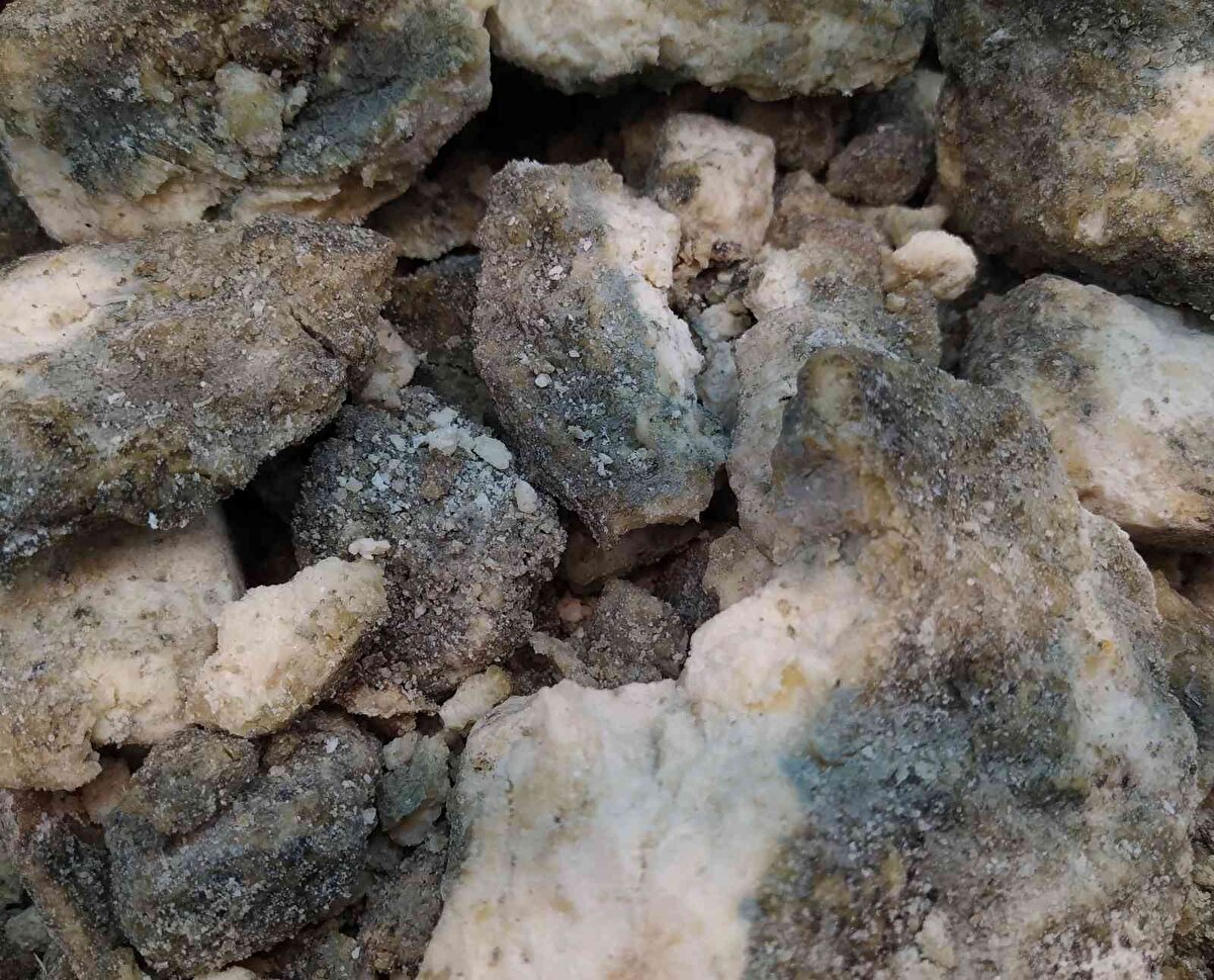 Ayrıca antibiyotik bulunmadan önce askerlerin yaralarına küflü peynir sürüldüğü tarihî kayıtlarda geçiyor.