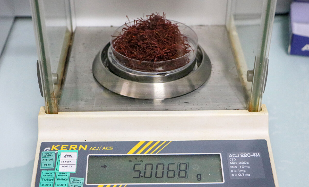 Safran alırken dikkat edilmesi gerektiğini belirten Manavoğlu şunları söyledi:<br><br>“İnternetten almak istediğimizde safranı birçok farklı fiyatta görebiliyoruz. Güncel olarak safranın kilogram fiyatı yaklaşık 50 bin lira. 50, 100 gramı 100 lira gibi rakamlara satılıyor. Burada ise taklit ürünlere dikkat etmek gerekiyor. Safranı taklit için mısır koçanlarının ipliklerinin boyanması, at kılının boyanması, Hindistan cevizinin ipliksi tabakasının boyanarak safranmış gibi satılması ne yazık ki karşımıza çıkıyor."<br><br>