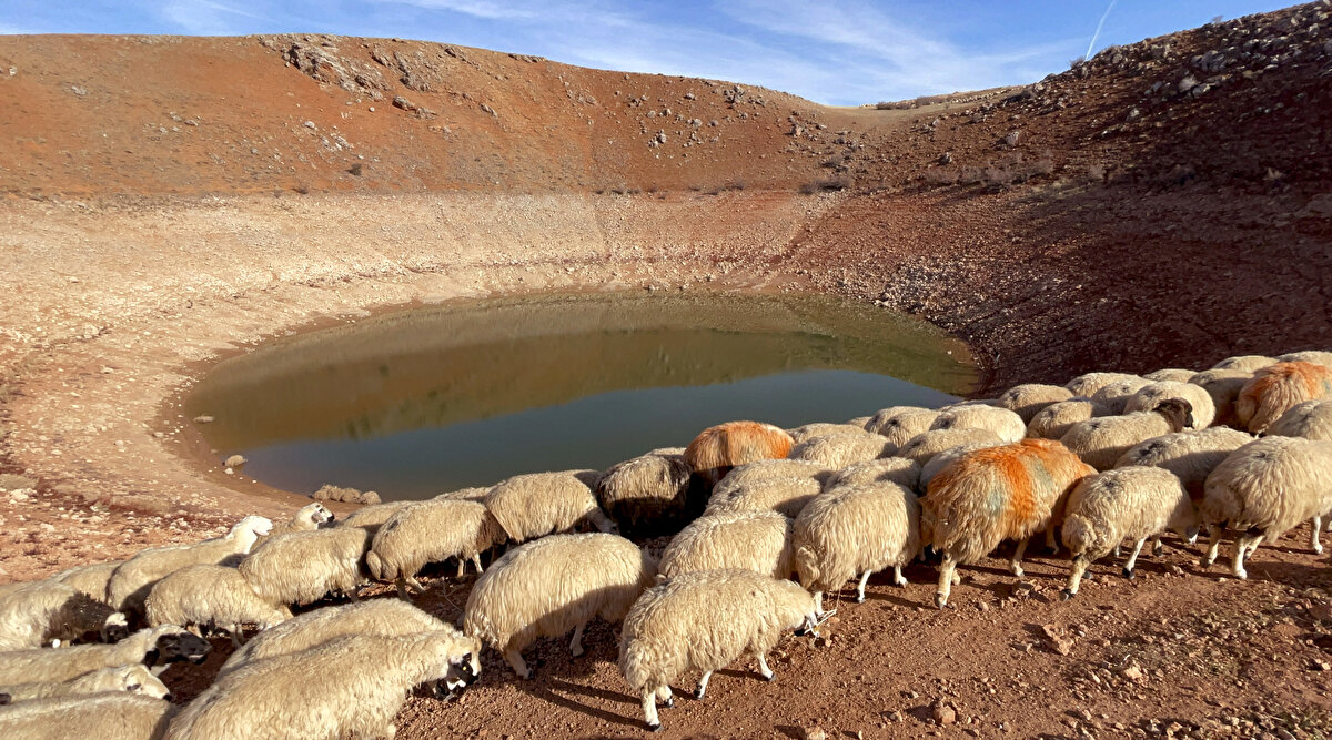 Obrukların ne zaman oluştuğunun belirlenmesi için obruktaki sarkıt ve dikitlerin yaşının tespit edilmesi gerektiğini dile getiren Aksoy, "O zaman bu mağara sistemi ve bunların bir parçası olan obrukların ne zaman meydana geldiğini daha net konuşmak mümkün. Buranın özellikleri araştırılıp ortaya çıkarılınca bu obruk insanların görmek isteyecekleri bir yer haline gelecektir diye düşünüyorum" dedi.<br><br>