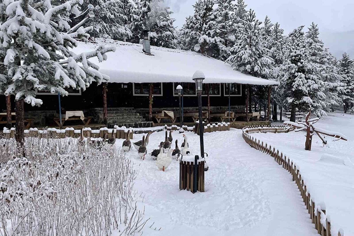 Yaklaşan kış mevsimiyle birlikte kar yolları kapatıncaya kadar hizmet vermeye devam edecek olan alanı bu yıl yaklaşık 160 bin kişi ziyaret etti.<br><br>